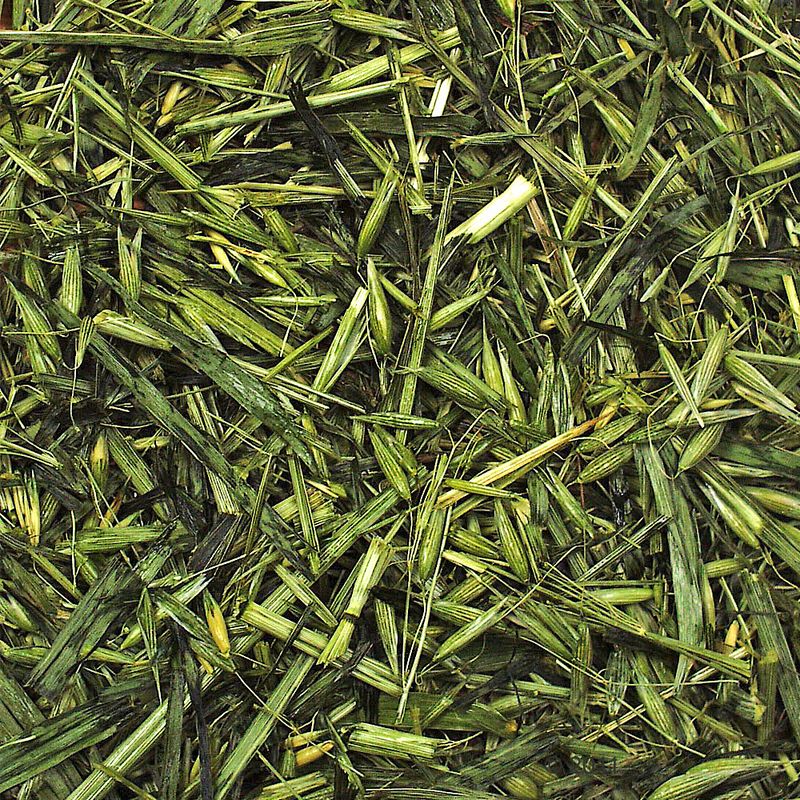 JR Farm Green Oats 500 g