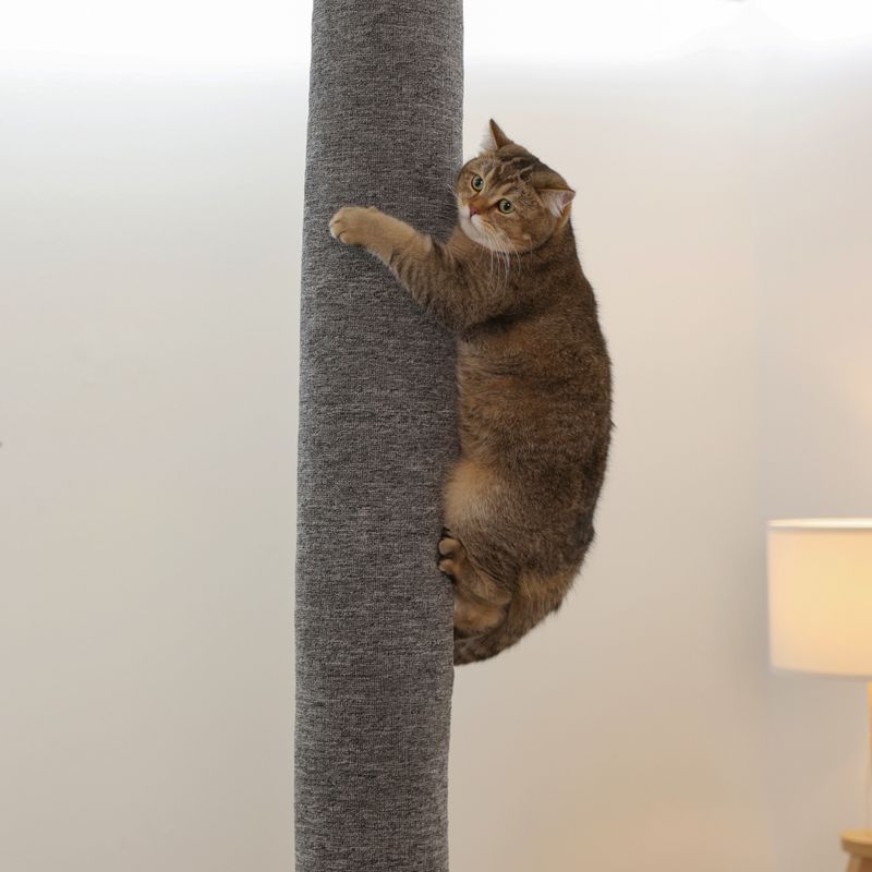 Kerbl Pet Klettersack Carpet for Cats Grey