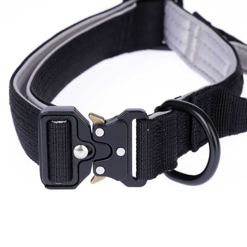 TIAKI Safety Collar Size S: 35 - 50 cm Neck Circumference, 25mm Width