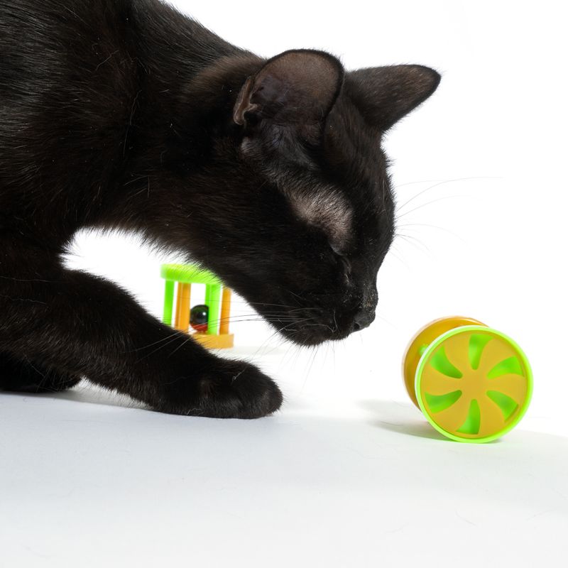 zooplus Basics Cage with Marble Toy - 4 Piece Set 4 Piece Set