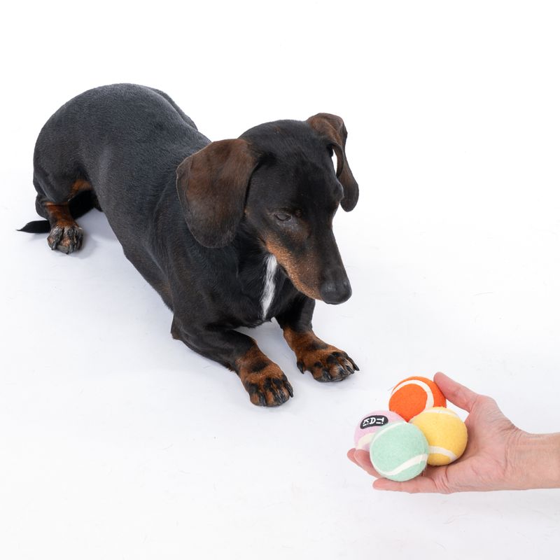 TIAKI Tennis Ball Set Set of 4 (approx. diameter 5cm)