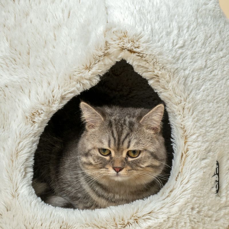 TIAKI Cuddly Bear Cat Den approx. diameter 43 x (H) 42 cm