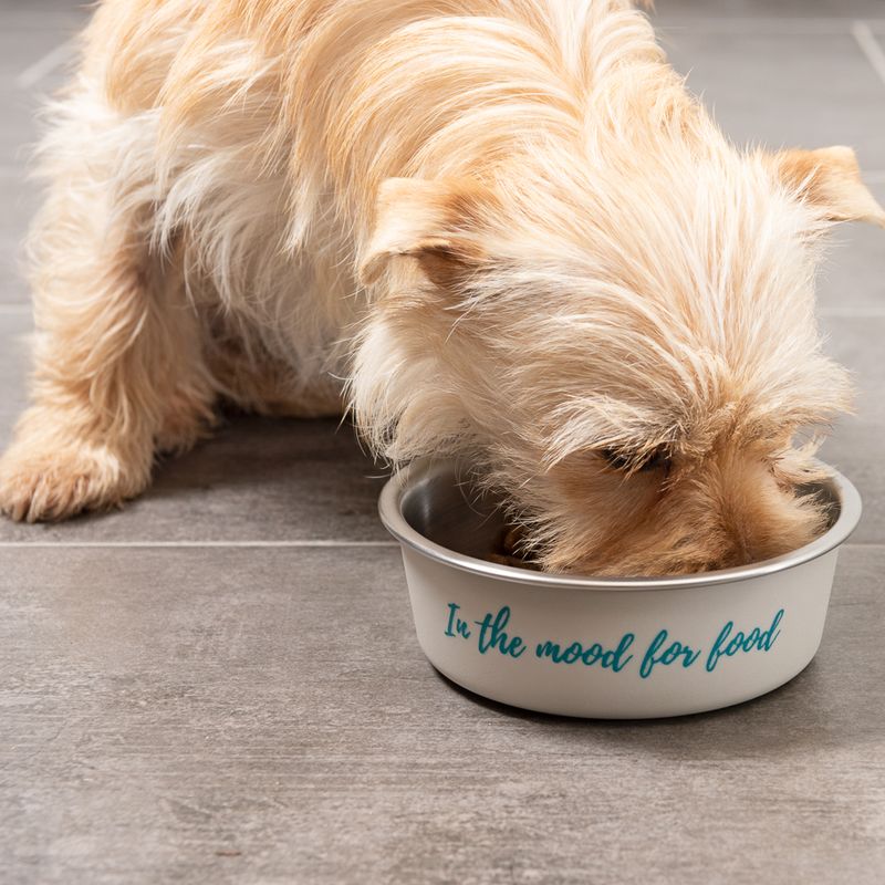 TIAKI stainless steel bowl \