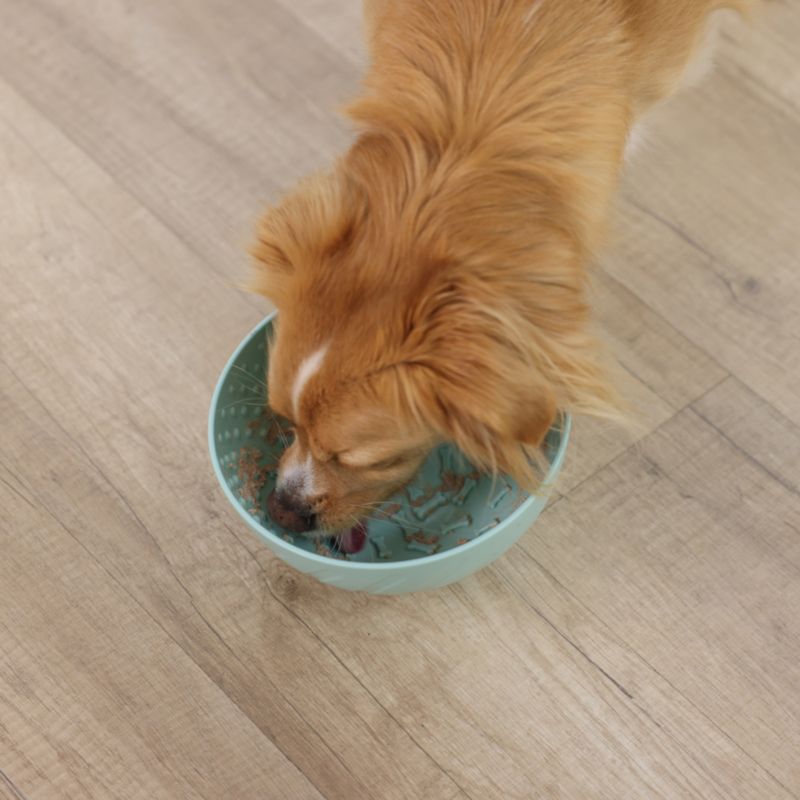 Kerbl Pet Licking Bowl - Turquoise 20.5 x 11cm (W x L)