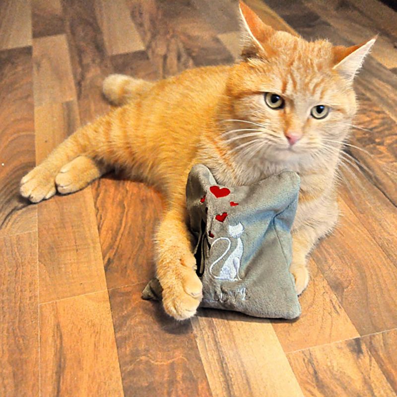 Aumüller True Love Mini Pillow 1 pillow