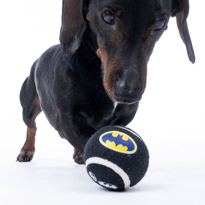 Warner Bros™ DC Batman Tennis Ball Set Set of 4 (each diameter 6.3cm)