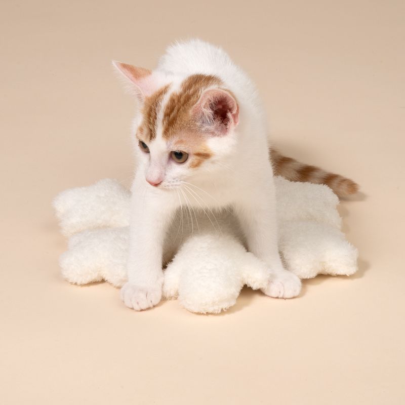 TIAKI Snowflake Plush Cat Toy 26 x 26 x 6 cm (L x W x H)