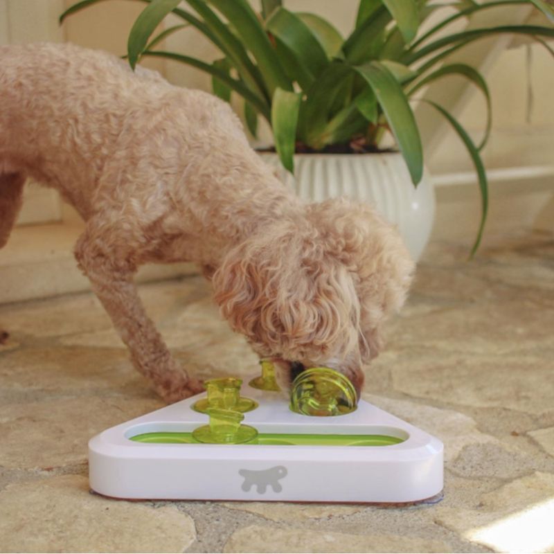 Ferplast Trea Intelligence Toy 24.5 x 22 x 6cm (L x W x H)