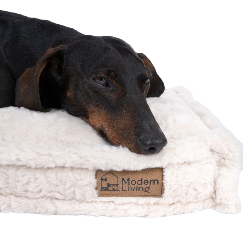 Modern Living Kuta Dog Mat Size XS: 60 x 40 x 8cm (L x W x H)