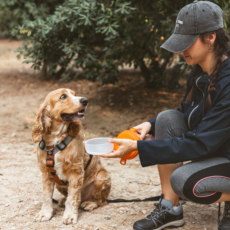 Nomad Tales Spirit Travel Feeding Station 2 x 500ml