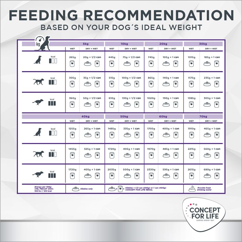 Concept for Life Veterinary Diet Renal 6 x 400g