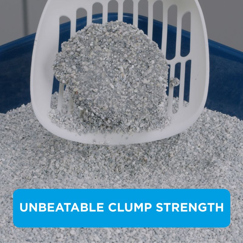 Ever Clean® Extra Strong Clumping Cat Litter - Unscented 10l