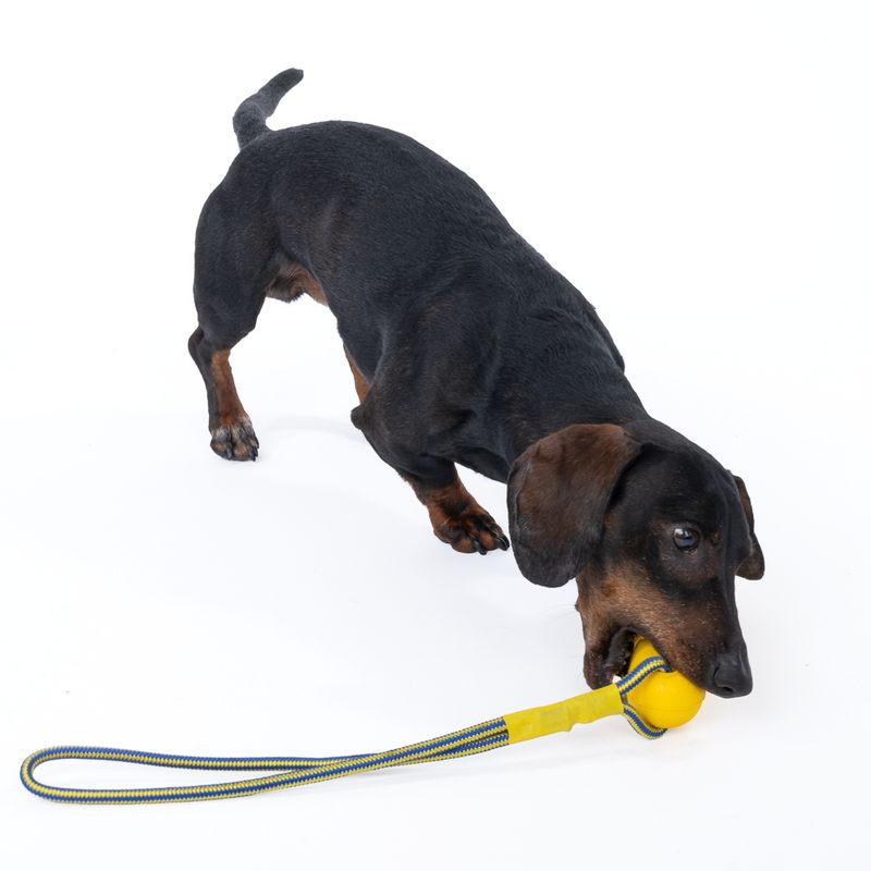 Nomad Tales Bloom EVA Stick with Rope 1 Toy