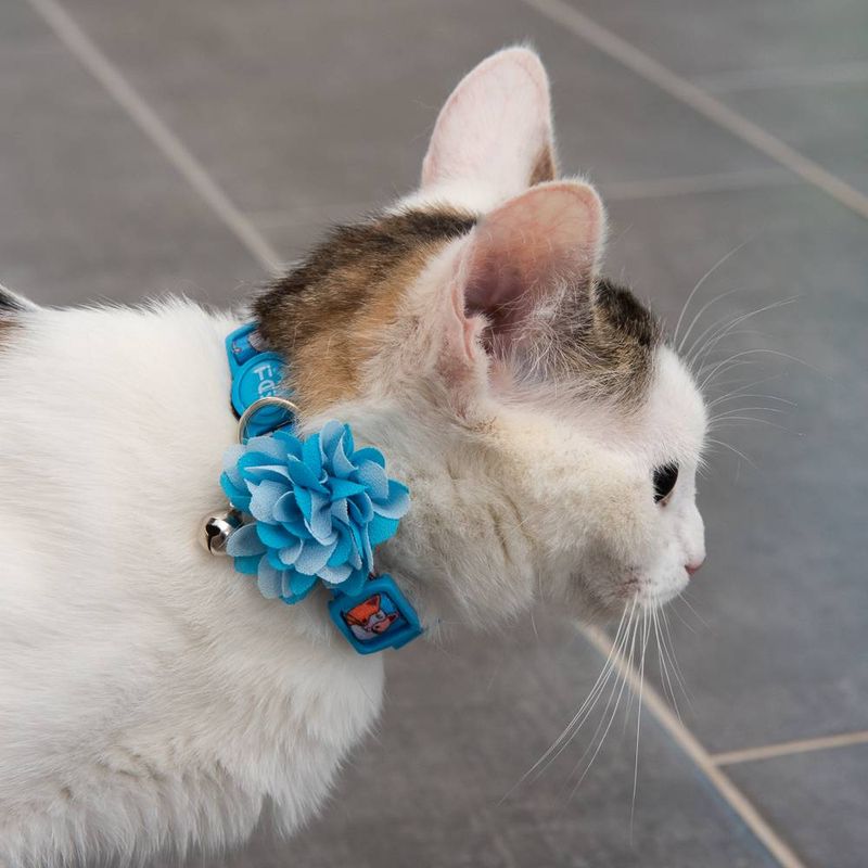 TIAKI Fishbone Cat Collar 20 - 30cm x 10mm (Neck Circumference x Width)