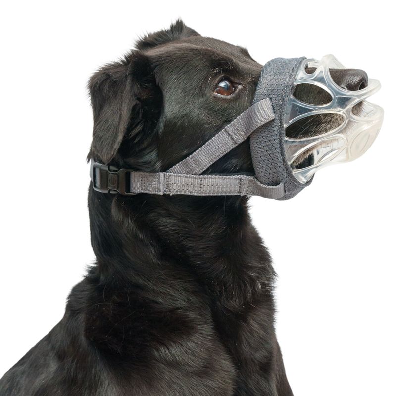 Baskerville INVISA Muzzle Size 1