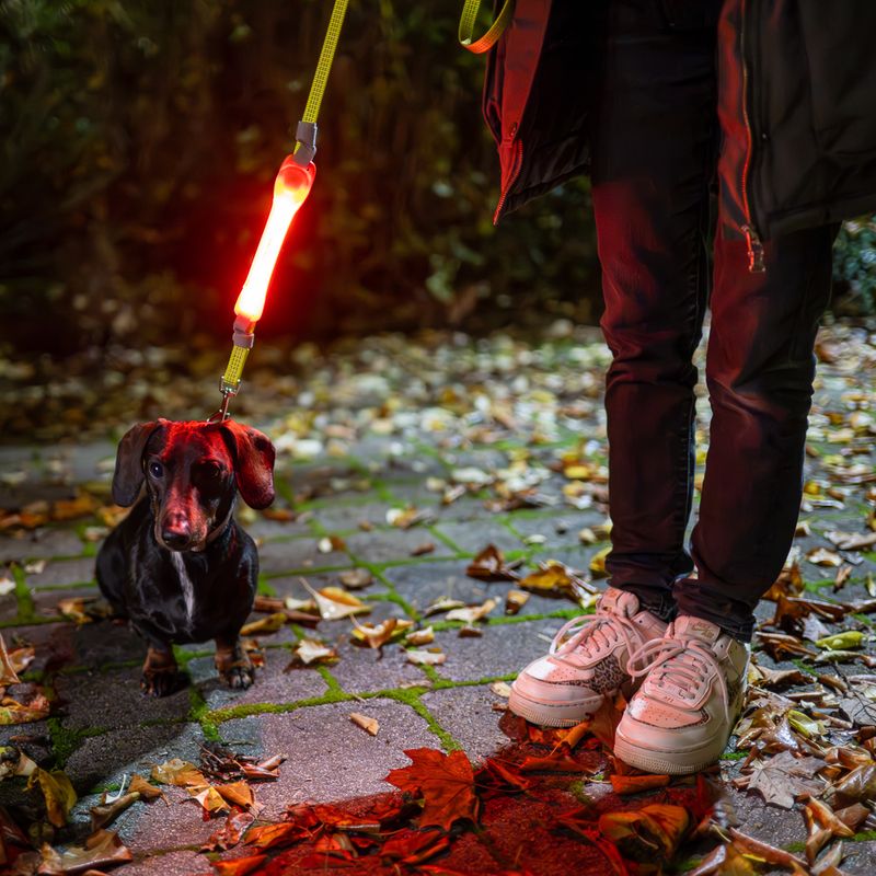 Nomad Tales Spirit USB Jelly Light Strip 18.5 x 3.5 x 1.7cm (L x W x H)