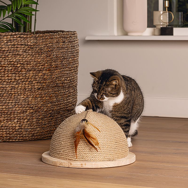 Designed by Lotte Vivi Half Wooden Scratching Ball 34.5 x 18.5cm (diameter x H)