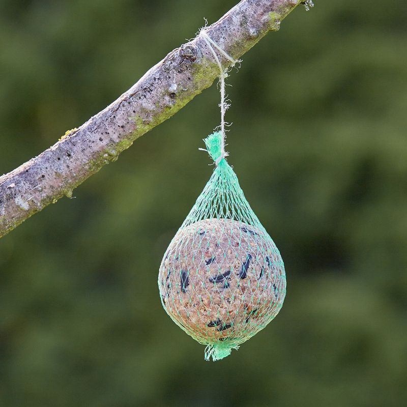 Lillebro Fat Balls 6 x 90g