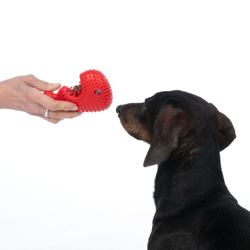 TIAKI Bone Fish Chew Toy 13 x 8 x 4 cm (L x W x H)