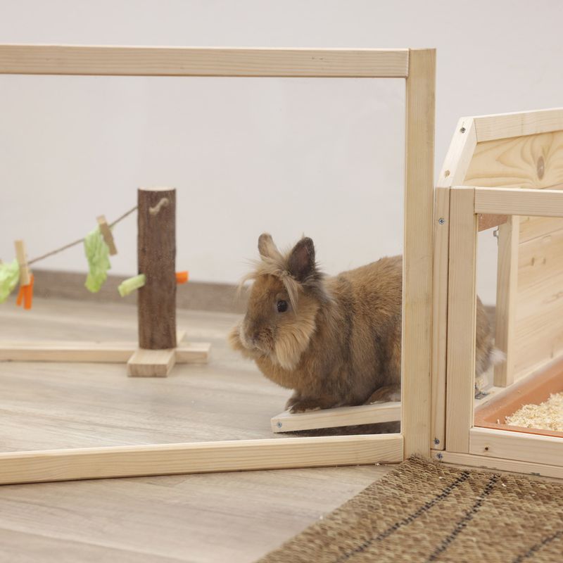 Kerbl Pet Room Divider Small Animal Run 4 elements, 58 x 48cm (W x H)