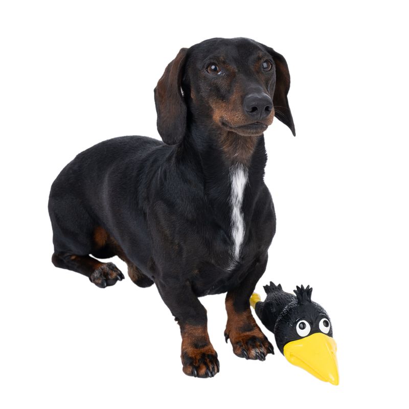 TIAKI Ramiro Latex Toy 24 x 6cm (L x diameter)