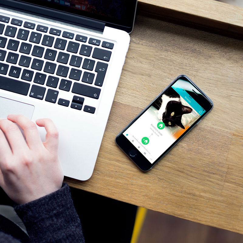 SureFlap Microchip Pet Door Connect White Pet Door