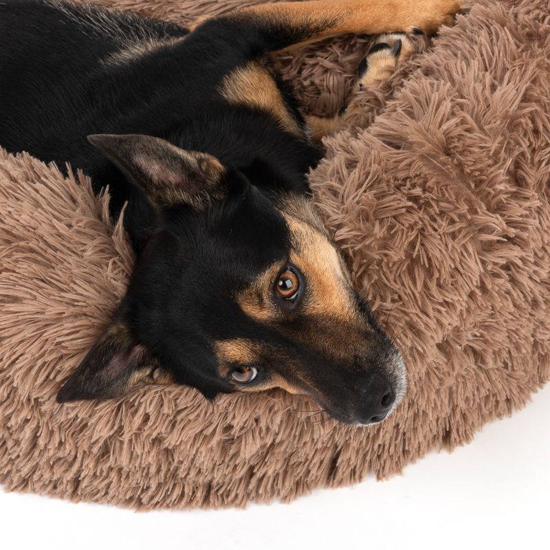 TIAKI No Stress Cuddly Bed - Beige Small: 75 x 25cm (Diameter x H)