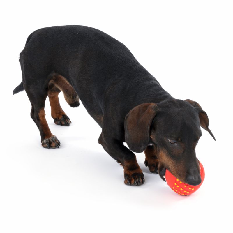 TIAKI Snowflake Latex Ball 1 Toy