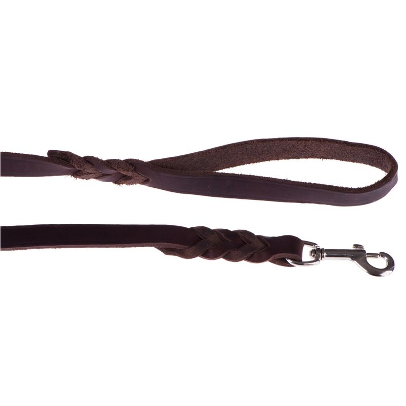 Heim Dog Lead with Snap Hook 200 cm long, 18 mm wide