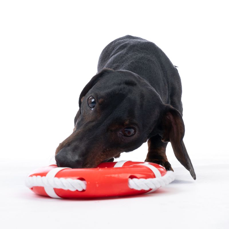 TIAKI Floating Dog Toy diameter 17.5 x (H) 3 cm