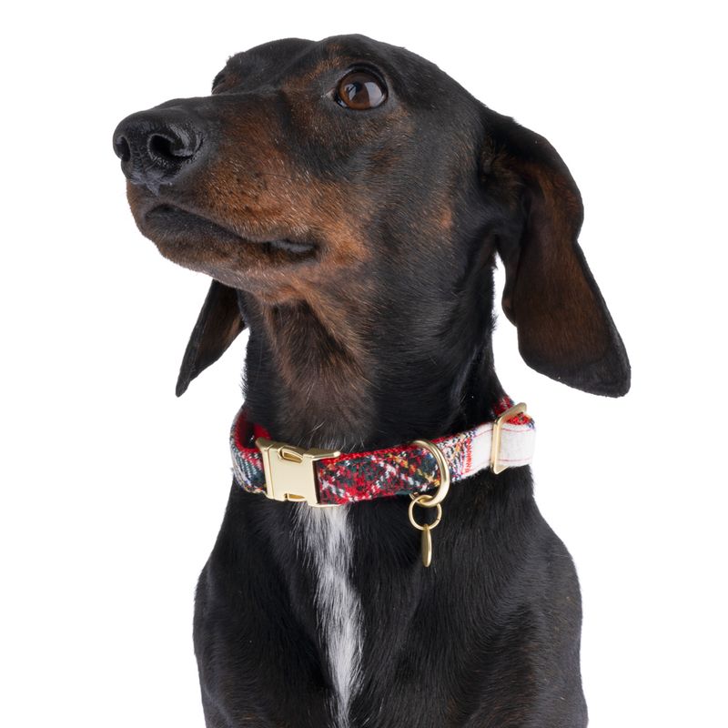Nomad Tales Tartan Collar, Lead, Poop Bag Dispenser & Scrunchie Set Collar Size L: 42 - 66 cm Neck Circumference