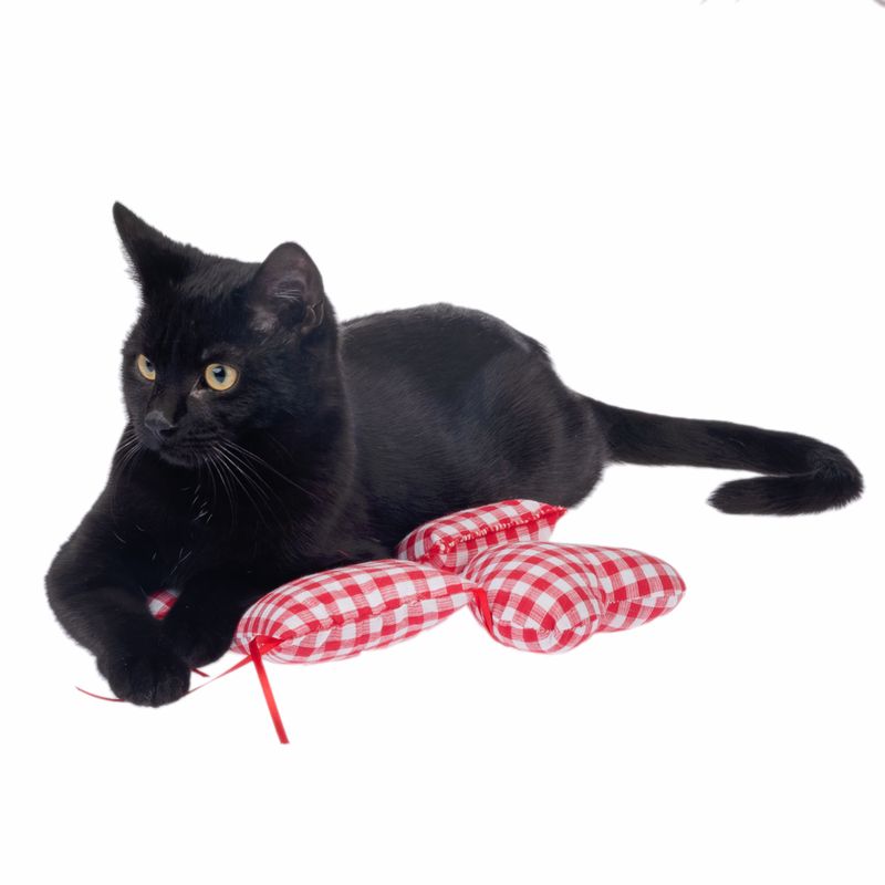 TIAKI Vichy Catnip Pillow 4-piece set