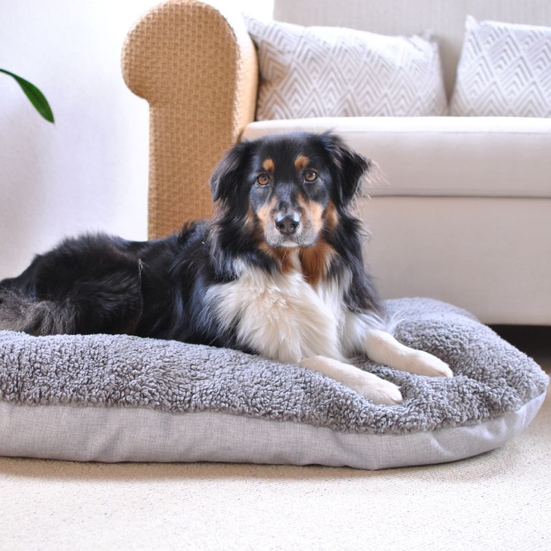 Pawz & Pepper Denver Ortho Dog Cushion M: 80 x 60 x 15 cm (L x W x H)