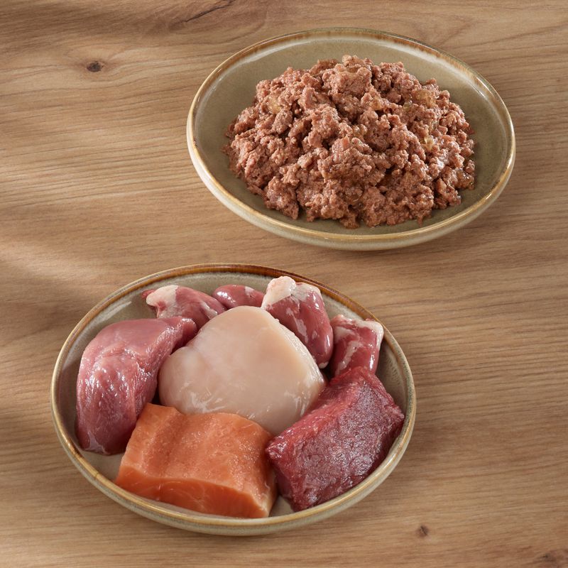 Wild Freedom Adult \