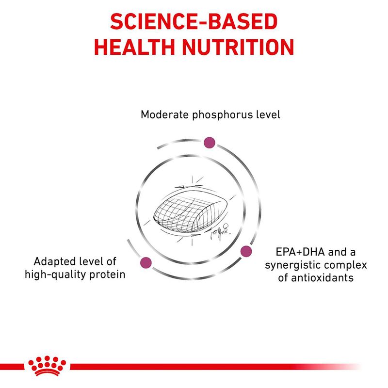 Royal Canin Veterinary Canine Early Renal 7kg