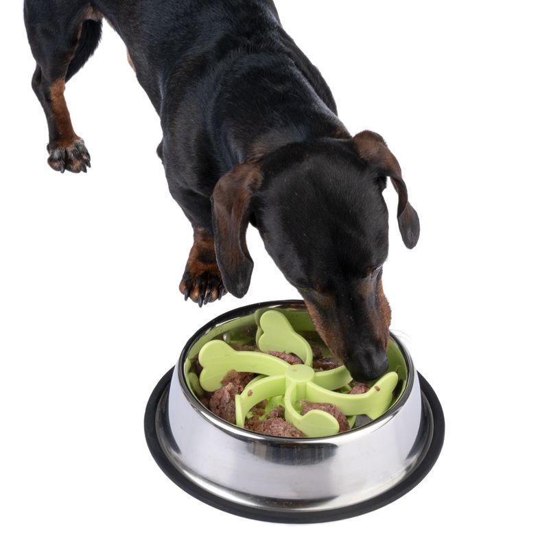 TIAKI Molino Slow Feeder Accessory diameter 17.6 x (H) 5.2 cm