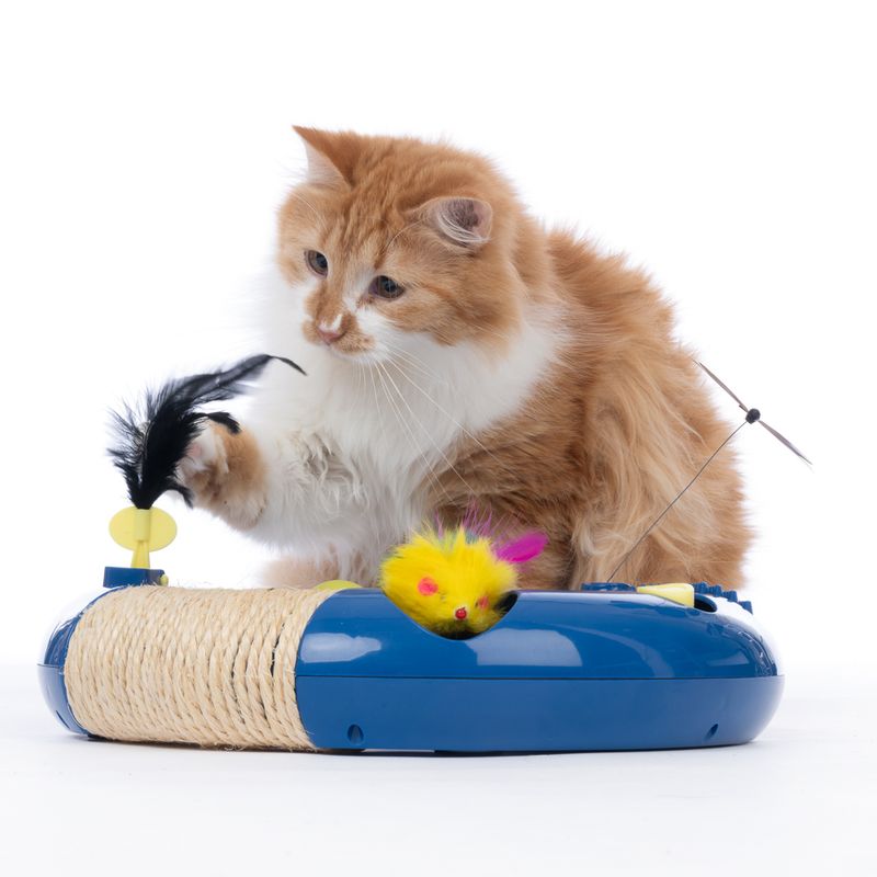 TIAKI Interactive Circuit Cat Toy 1 Toy