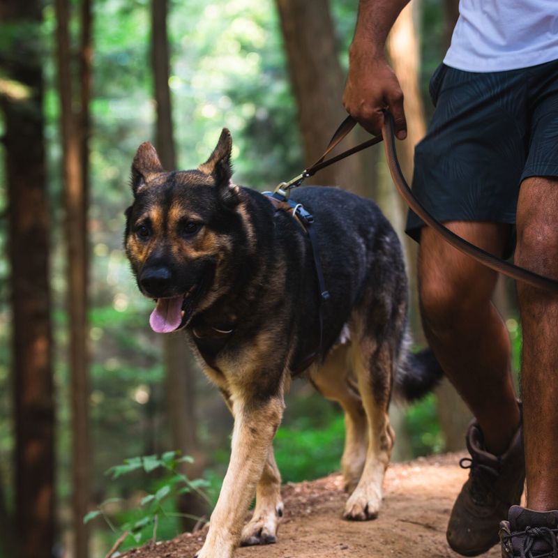 Ruffwear Front Range Dog Harness - Moonlight Mountains Size S: 56 - 69cm Chest Circumference