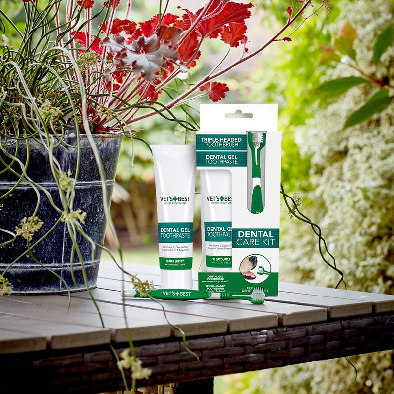 Vet's Best® Dental Care Set for Dogs Toothbrush and toothpaste