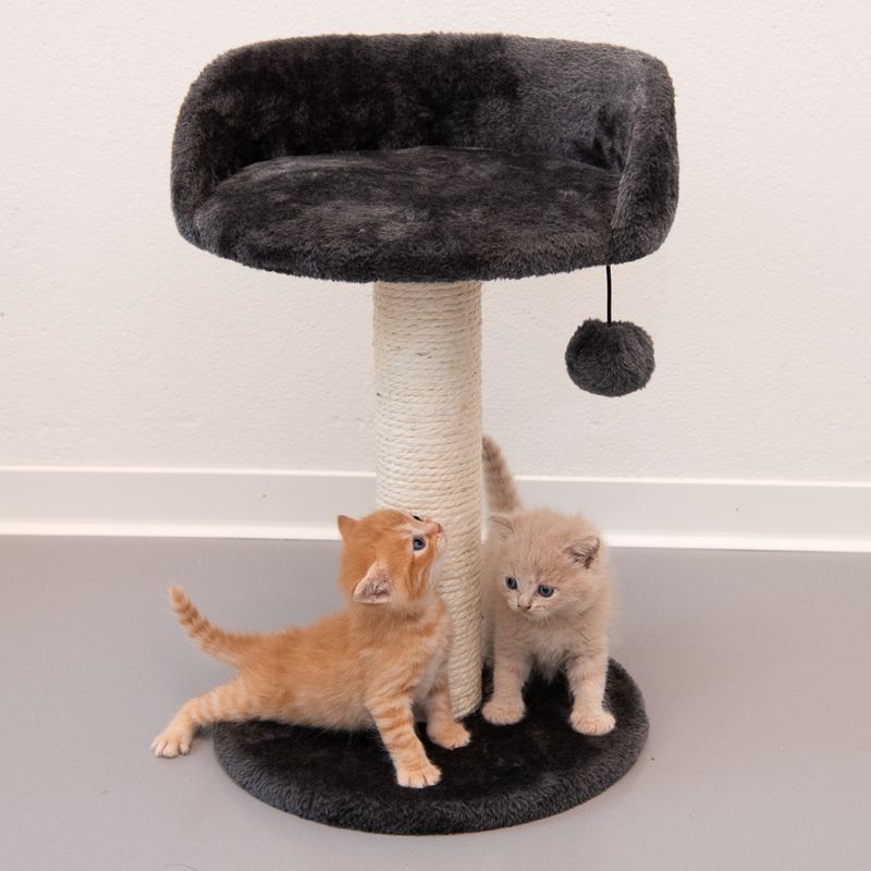 Enio Cat Tree Dark Grey