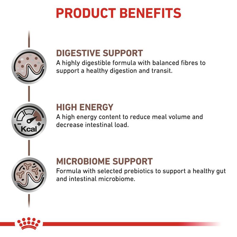 Royal Canin Veterinary Canine Gastrointestinal Loaf 12 x 400g