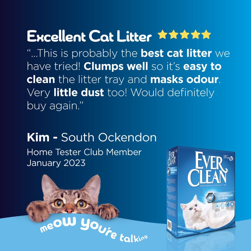 Ever Clean® Extra Strong Clumping Cat Litter - Unscented 10l