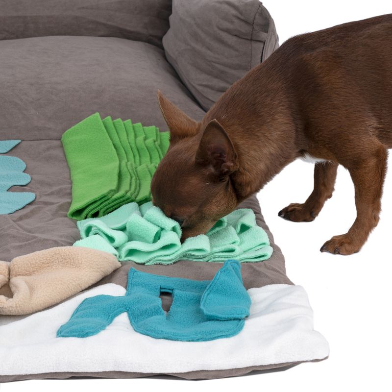 TIAKI Mink Playground Dog Bed 50 x 40 x 17 cm (L x W x H)