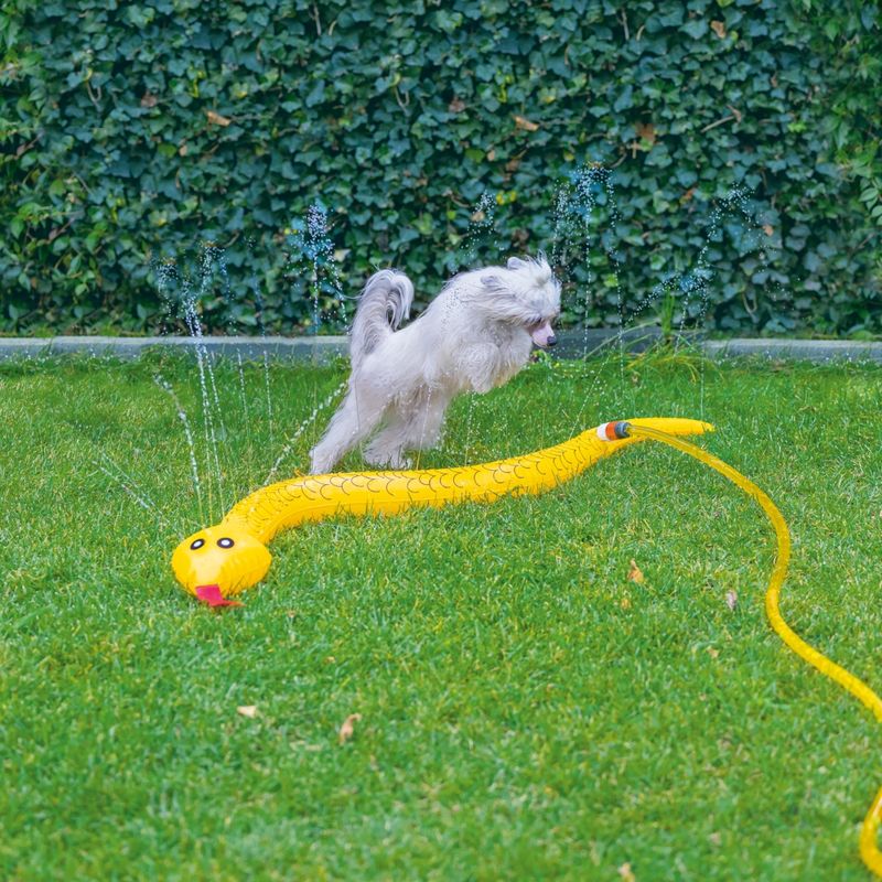 Beeztees Splashy Snake Dog Toy 150cm (L)