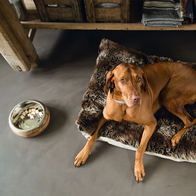 Designed by Lotte Mandira Wooden & Stainless Steel Bowl 350ml