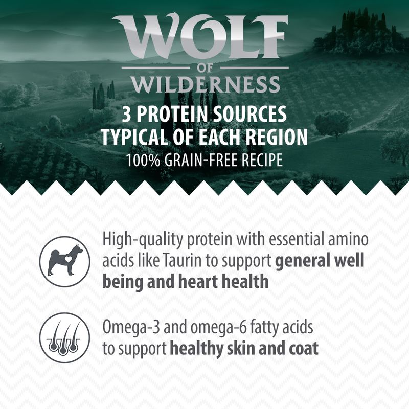 Wolf of Wilderness \