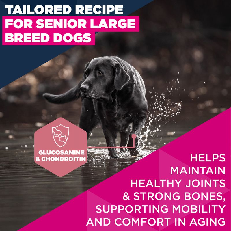 Eukanuba Premium Nutrition Senior Large & Giant Breed Chicken 15kg