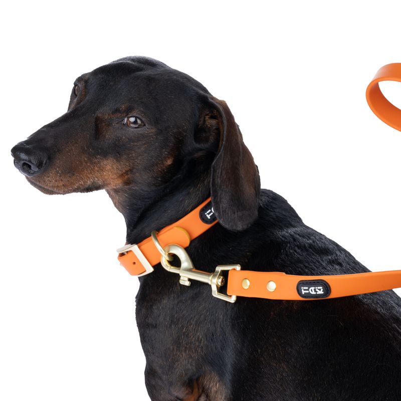 TIAKI Water-Repellent PVC Collar - Orange Size S: 24-36cm (Neck Circumference)