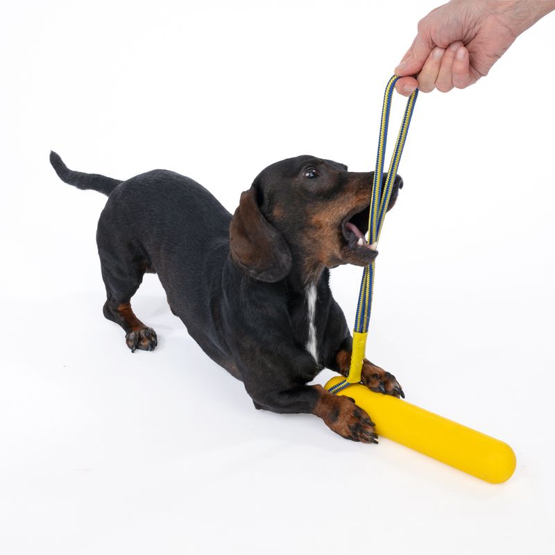 Nomad Tales Bloom EVA Stick with Rope 1 Toy