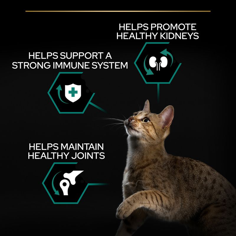 PURINA PRO PLAN Adult Renal Plus Rich in Chicken 3kg